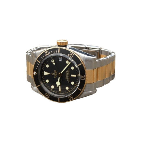 Tudor  Black Bay S&G M79733N-0008